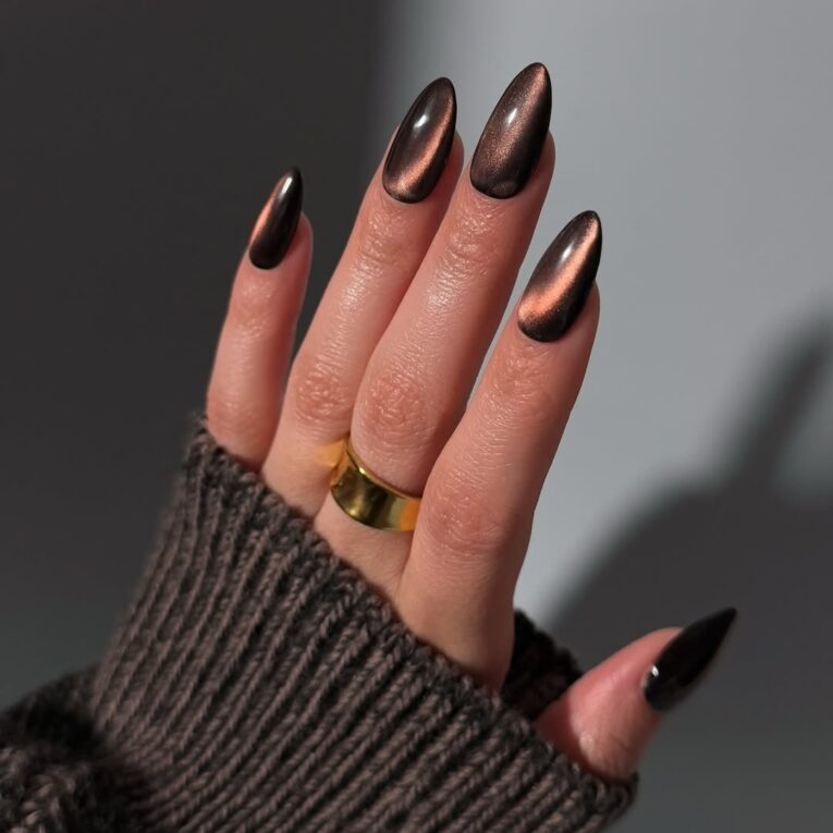 Cat Eye Nails 42 Cute Designs Magnetic Gel Polish Tutorial