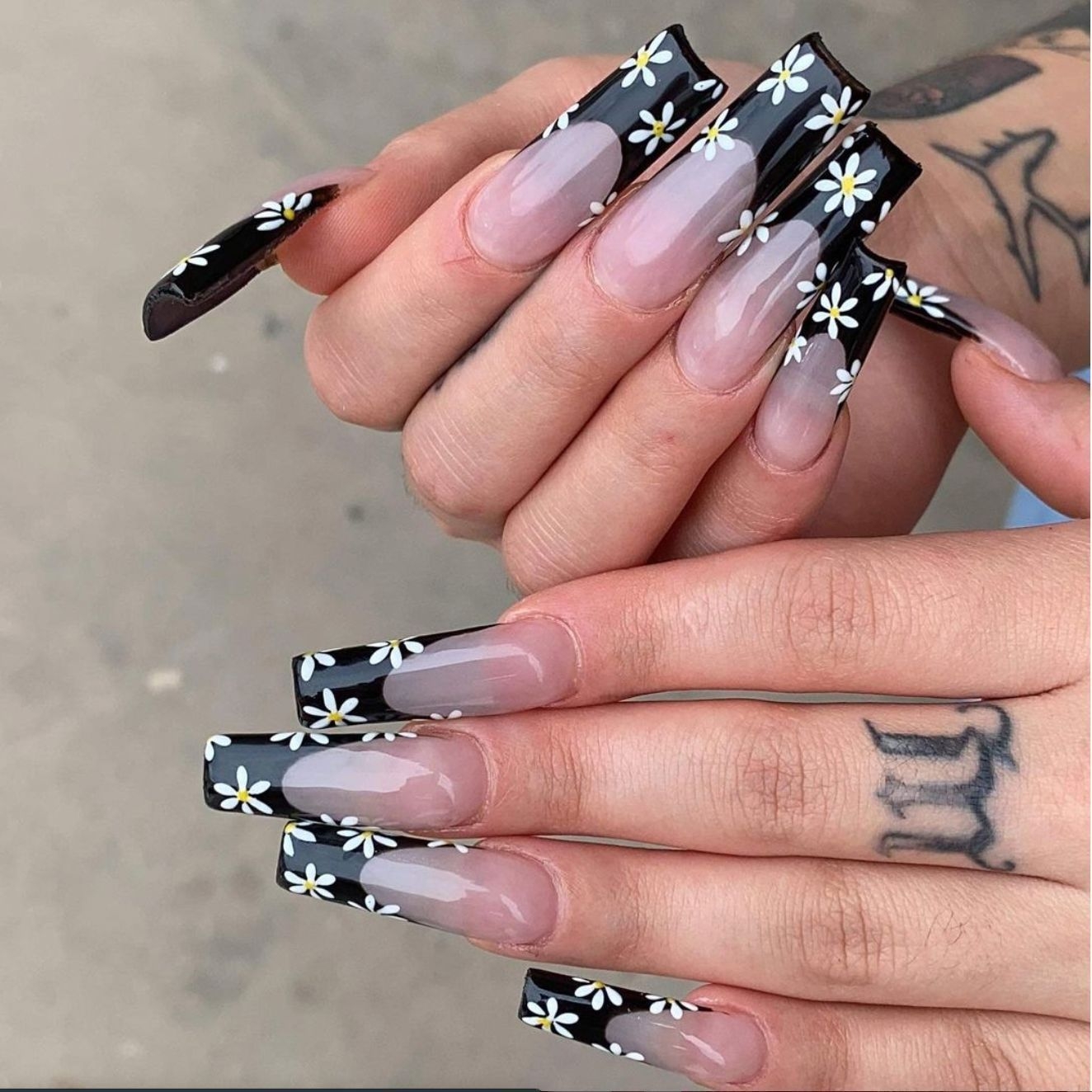 Orchid Nail Lounge Santa Clara CA Book Online Prices Reviews Photos