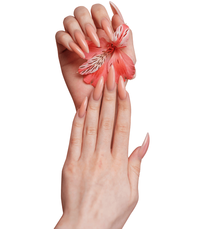 nail salon buffalo ny