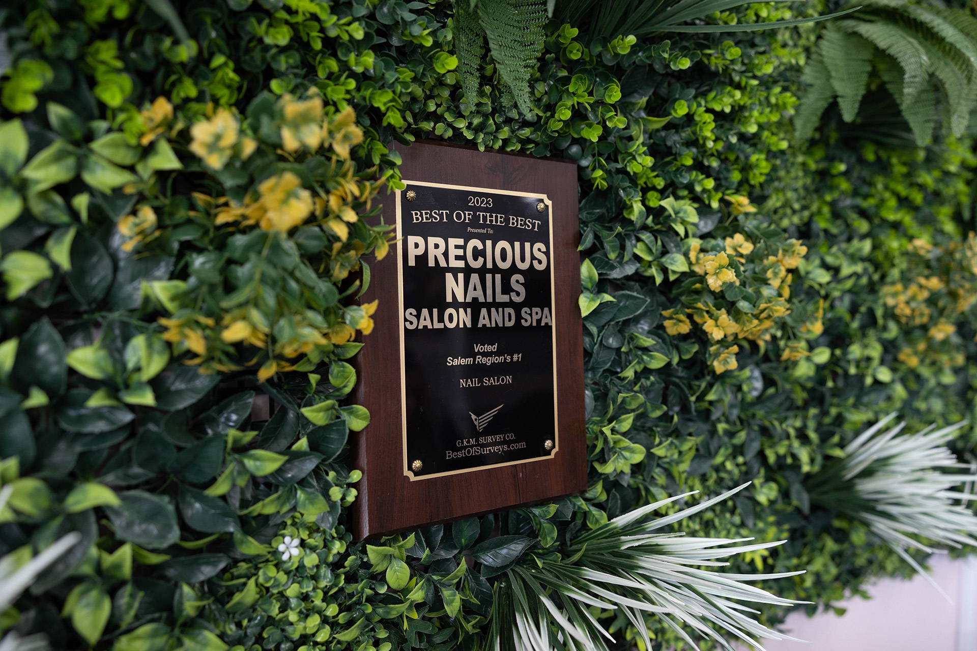 Precious Nails Salon Spa Salem