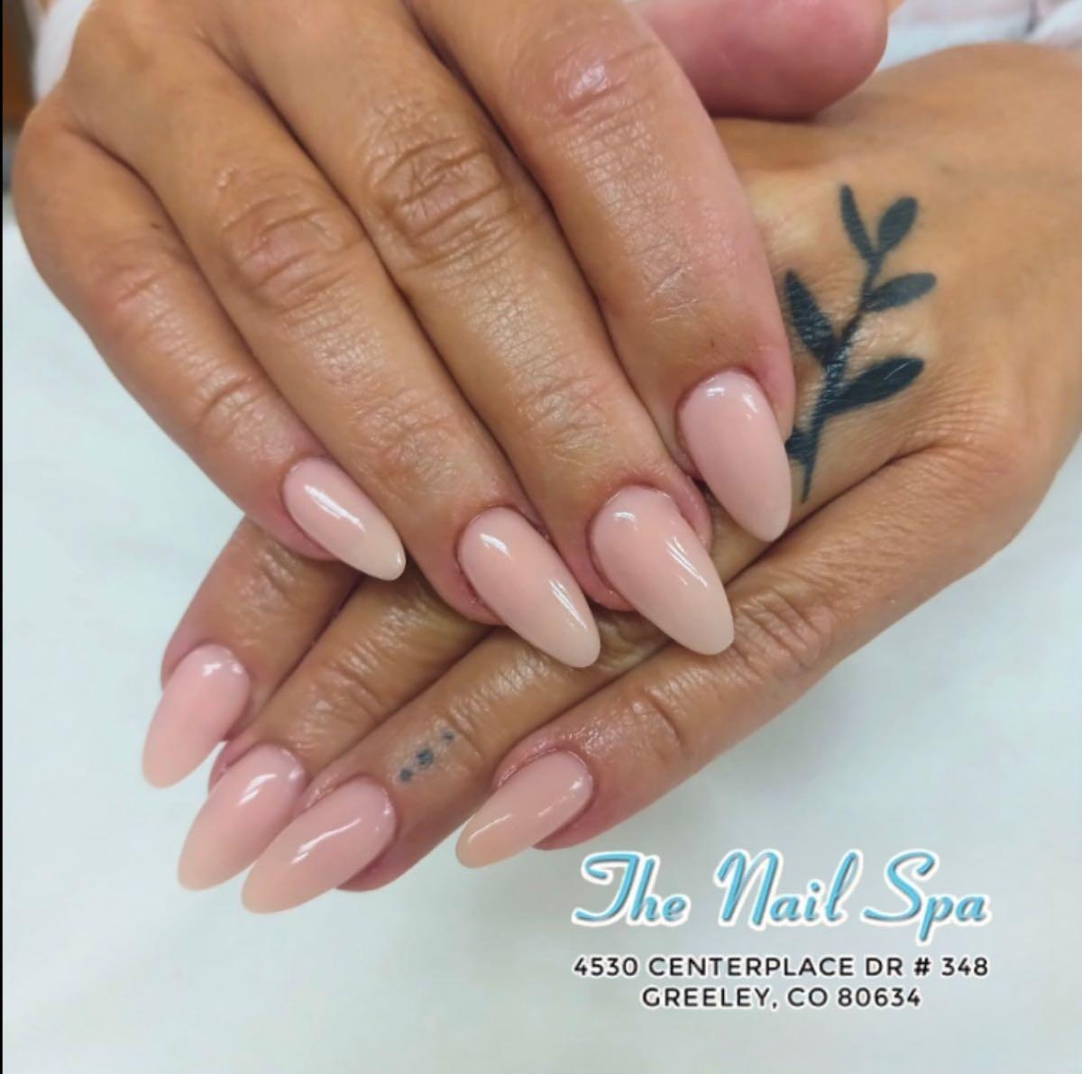 greeley co nail salons