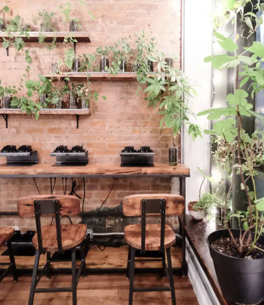 There Are Now 9 Eco Friendly Nail Salons In NYC Where You Can Get A Non Toxic Manicure Ecocult 