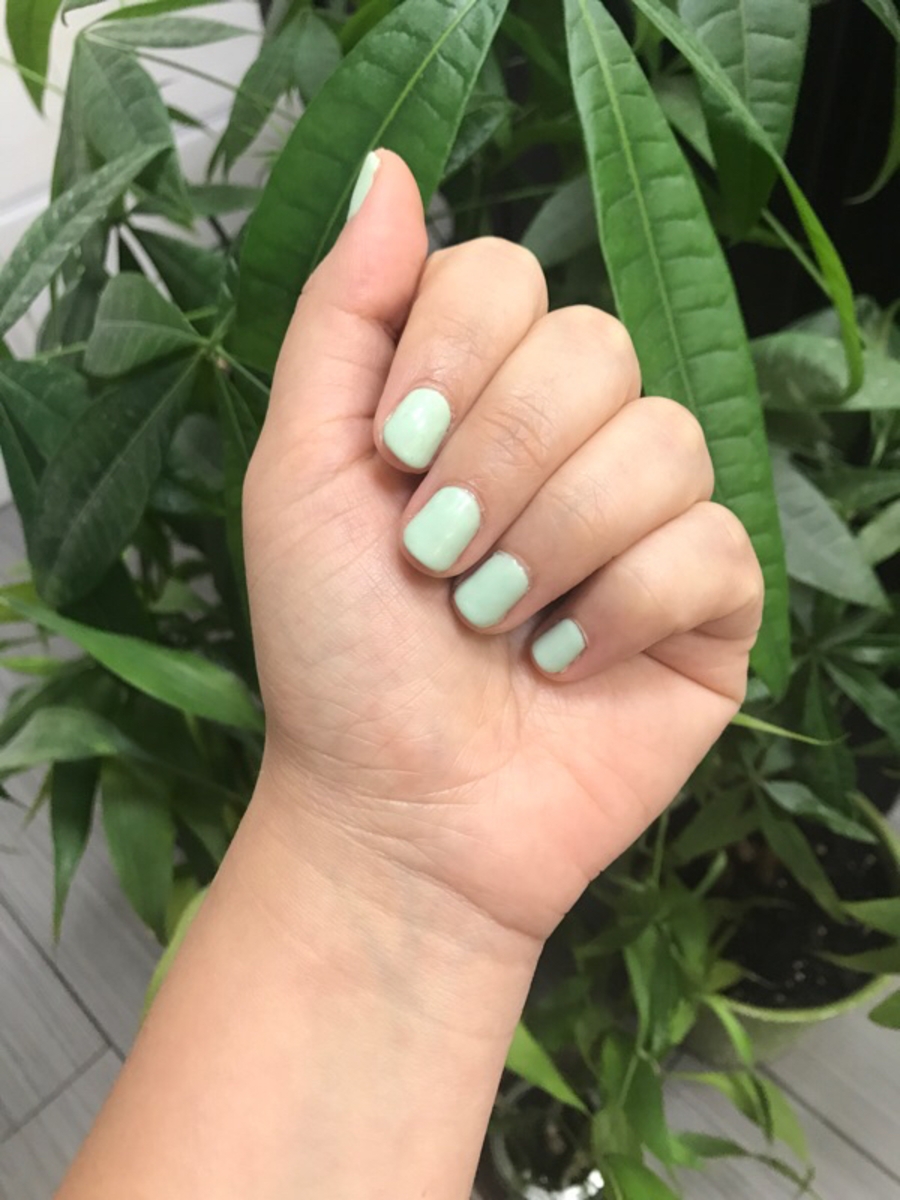 Tina Green Nail Salon Salon Full Pricelist Phone Number 354 Graham Ave Best Nail Services And Nail Places In North Side And Williamsburg Snailz The Brooklyn Nail Salon Booking App