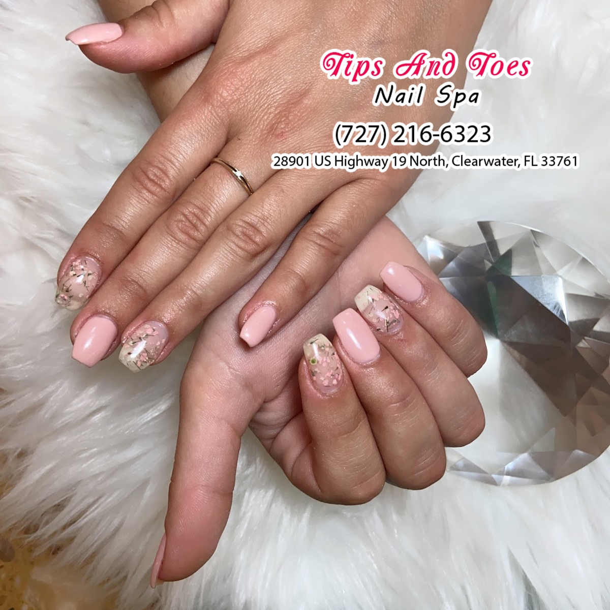 Tips Toes Nail Spa Nail Salon In Clearwater FL 33761
