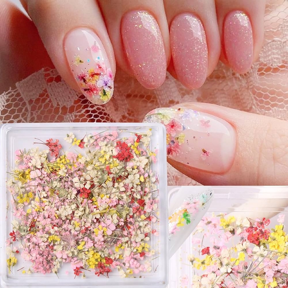 Amazon 3D Dried Flowers For Nails Spring Flower Nail Art Stickers 1Box Dried Flowers For Resin Crafts Colorful Small Natural Floral Dried Flower Decals For Summer Acrylic Nails Design Manicure Accessories 